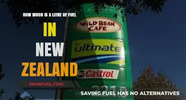 Fuel Prices in New Zealand: A Costly Litre