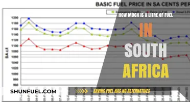 Fuel Prices in South Africa: A Costly Affair