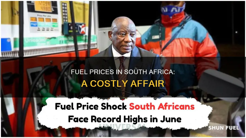 how much is a litre of fuel in south africa
