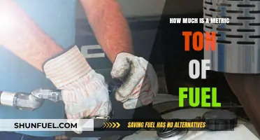 The Cost of Fuel by Metric Ton