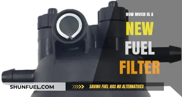Fuel Filter Replacement: Cost and When to Change It