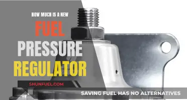 Fuel Pressure Regulator: Cost of a New One