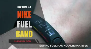 Nike Fuel Band: Cost and Features