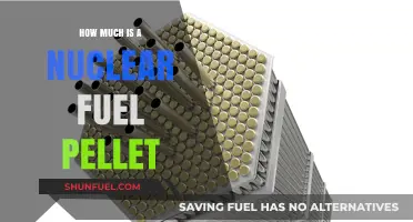 The High Cost of Nuclear Fuel Pellets
