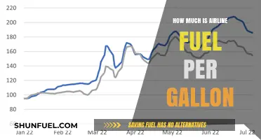 Airline Fuel Costs: Price per Gallon Explored