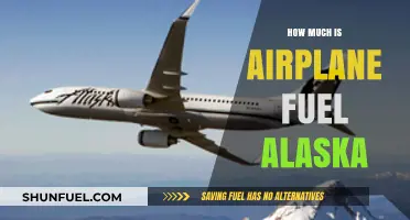 Airplane Fuel Costs in Alaska: How Much?