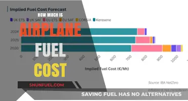 The High Cost of Airplane Fuel