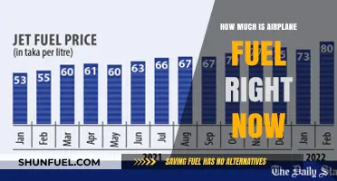 Airplane Fuel Prices: Current Rates and What's Next