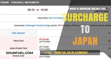 American Airlines Fuel Surcharge to Japan: Cost Analysis