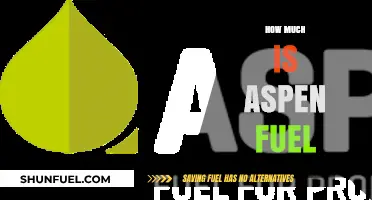 Aspen Fuel: The Cost of Green Energy