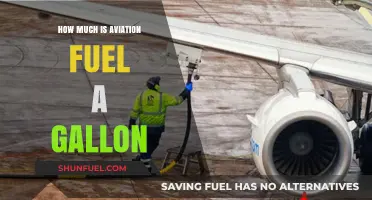 The High Cost of Aviation Fuel: Price per Gallon