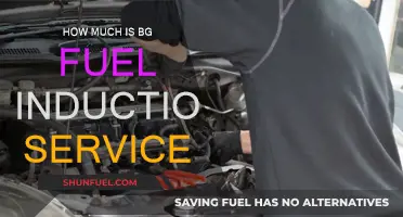 BG Fuel Induction Service: Cost and Benefits