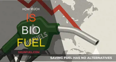 Biofuel Costs: How Affordable is Green Energy?