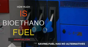 The Cost of Bioethanol Fuel: How Much?