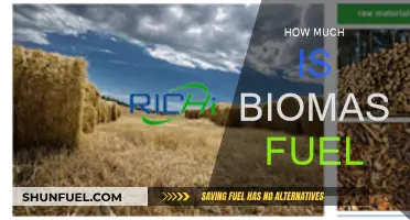 Biomass Fuel: Cost-Effective Energy Source?