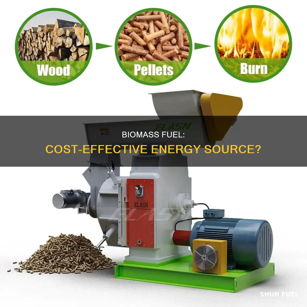 how much is biomass fuel
