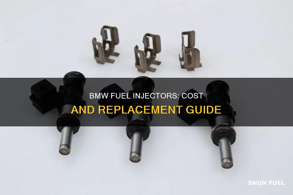 how much is bmw fuel injectors