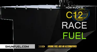 Race Fuel Costs: Understanding C12 Pricing
