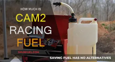 Racing Fuel Costs: CAM2 Pricing and Performance