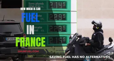 French Fuel Costs: A Guide to Affordable Driving