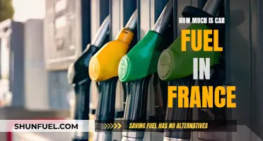 Car Fuel Costs in France: How Much?