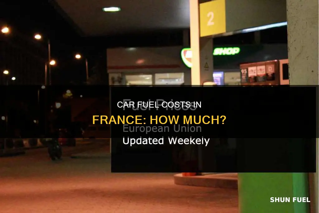 how much is car fuel in france