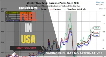 Fuel Costs in the USA: How Much Do Americans Pay?