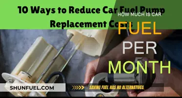 Monthly Car Fuel Costs: How Much Do They Vary?