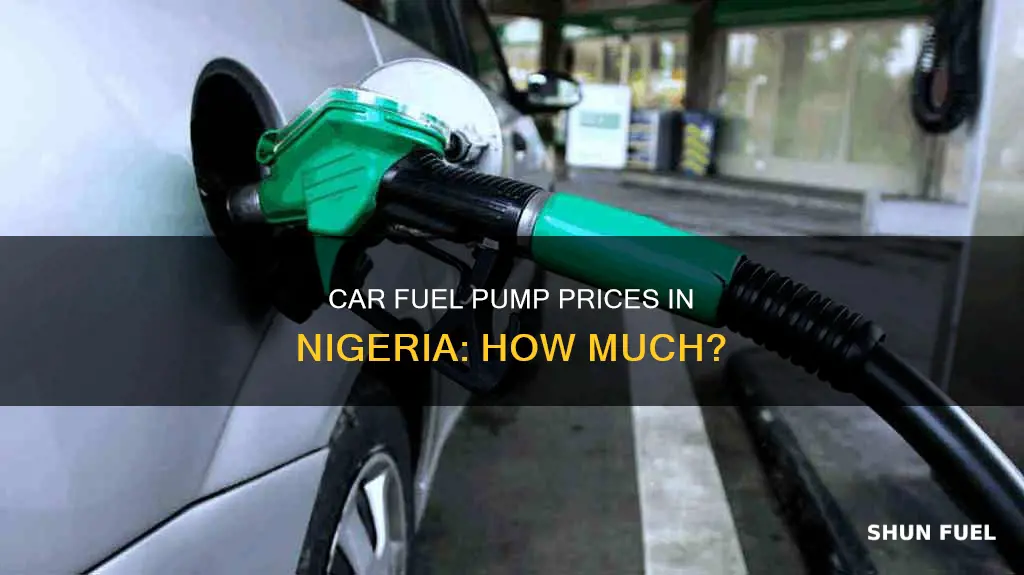 how much is car fuel pump in nigeria