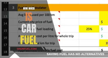 Understanding Fuel Costs: A Guide to Car Fuel Expenses