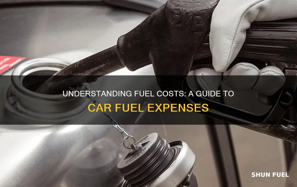 how much is car fuel