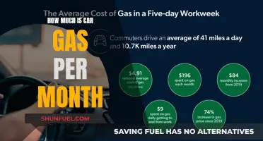 Monthly Gas Costs: How to Save on Your Car's Fuel Expenses