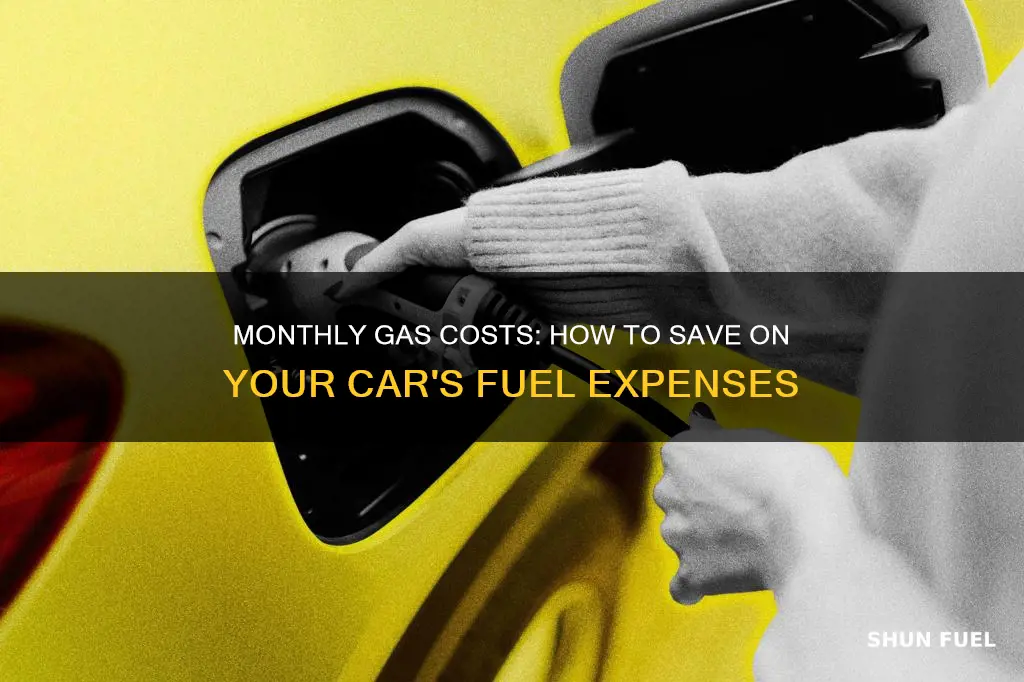 how much is car gas per month