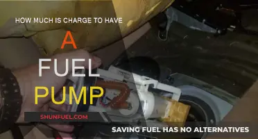 Cost of Replacing Your Fuel Pump: How Much?