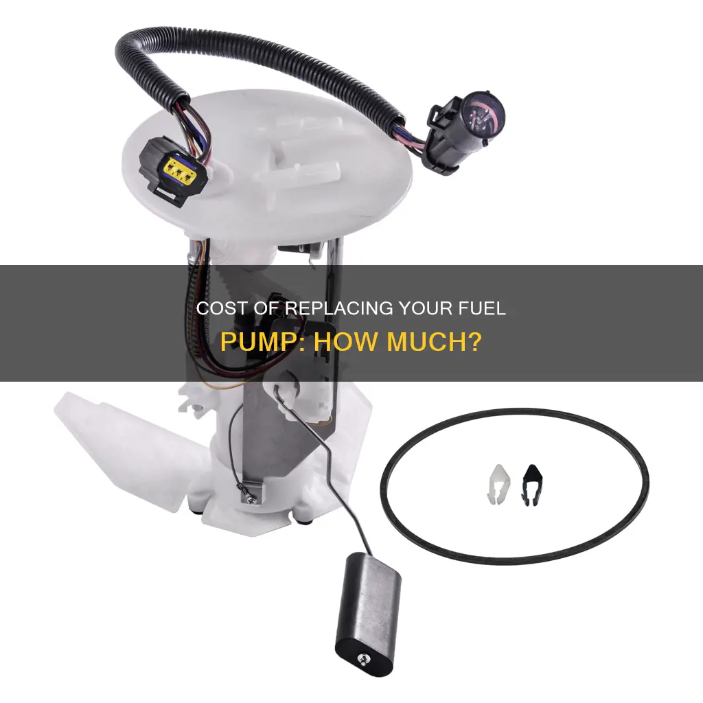 how much is charge to have a fuel pump
