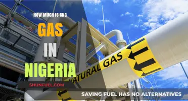 Exploring the Cost of CNG Gas in Nigeria: A Comprehensive Guide