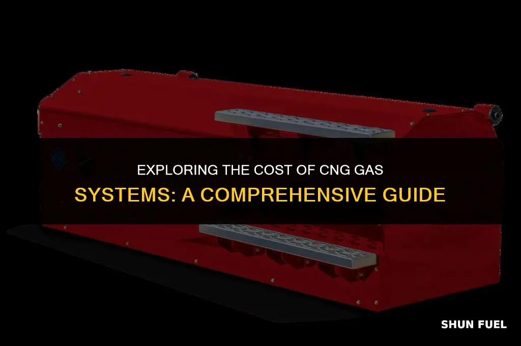 how much is cng gas sistem coast