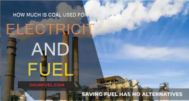 Coal Consumption: Electricity and Fuel Usage Explored