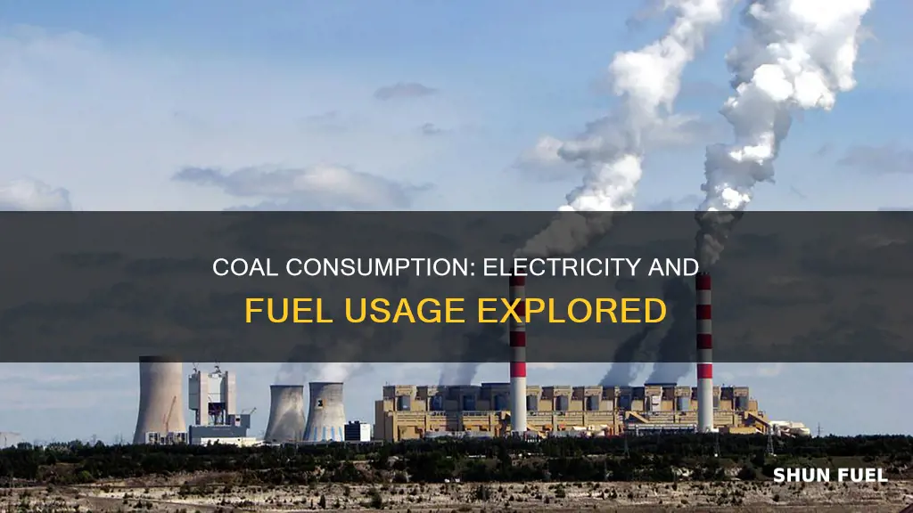 how much is coal used for electricity and fuel