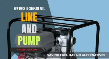 Cost of Peace of Mind: Fuel Line and Pump