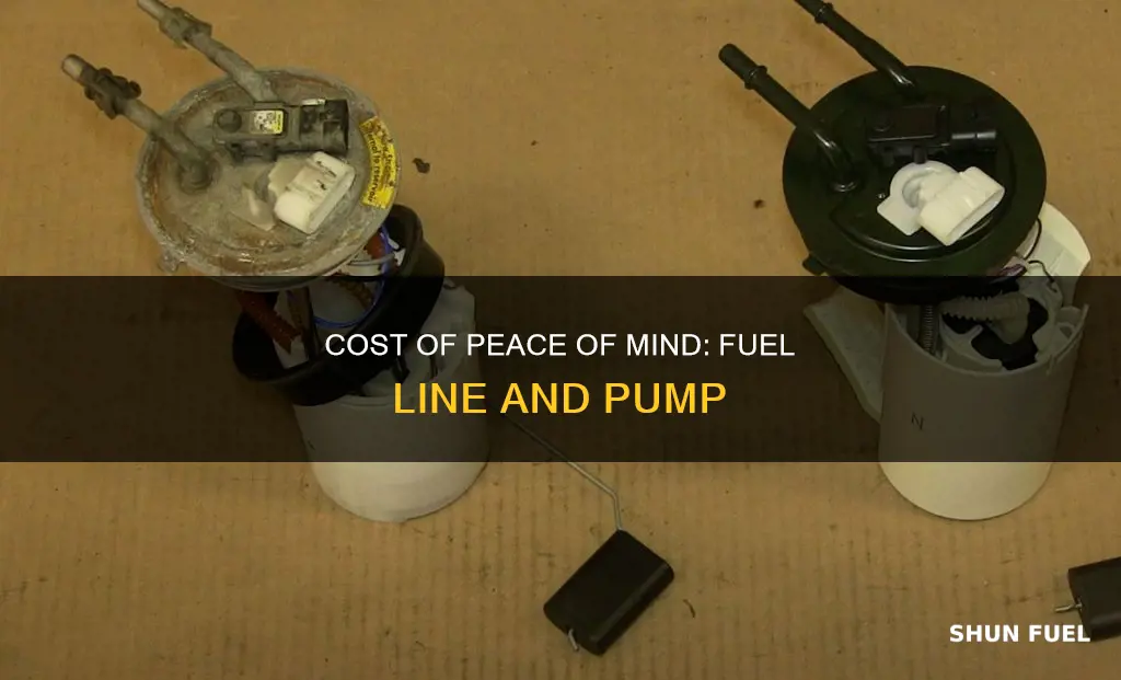 how much is complete fuel line and pump