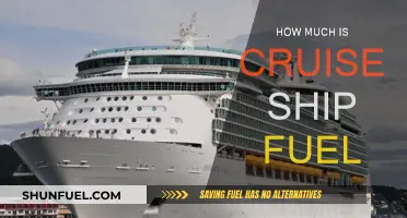 Cruise Ship Fuel: What's the Cost of Sailing?
