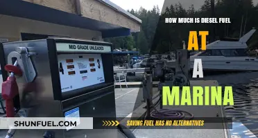 Marina Diesel Fuel: How Much Does It Cost?