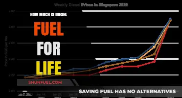 The Cost of Diesel: Fuel for Life
