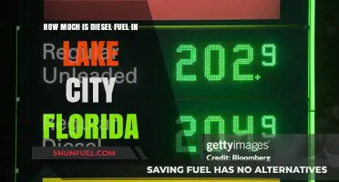 Lake City, Florida: Diesel Fuel Cost Analysis