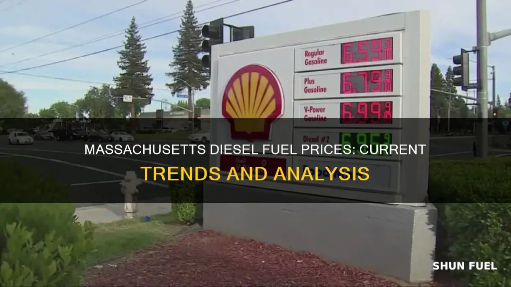 how much is diesel fuel in massachusetts