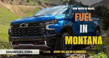Montana Diesel Fuel Prices: Cost Analysis