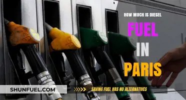 Diesel Fuel Costs in Paris: A Traveler's Guide