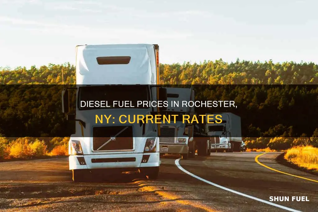 how much is diesel fuel in rochester ny