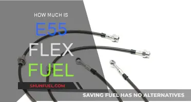 Flex Fuel Efficiency: E55 Costs and Benefits